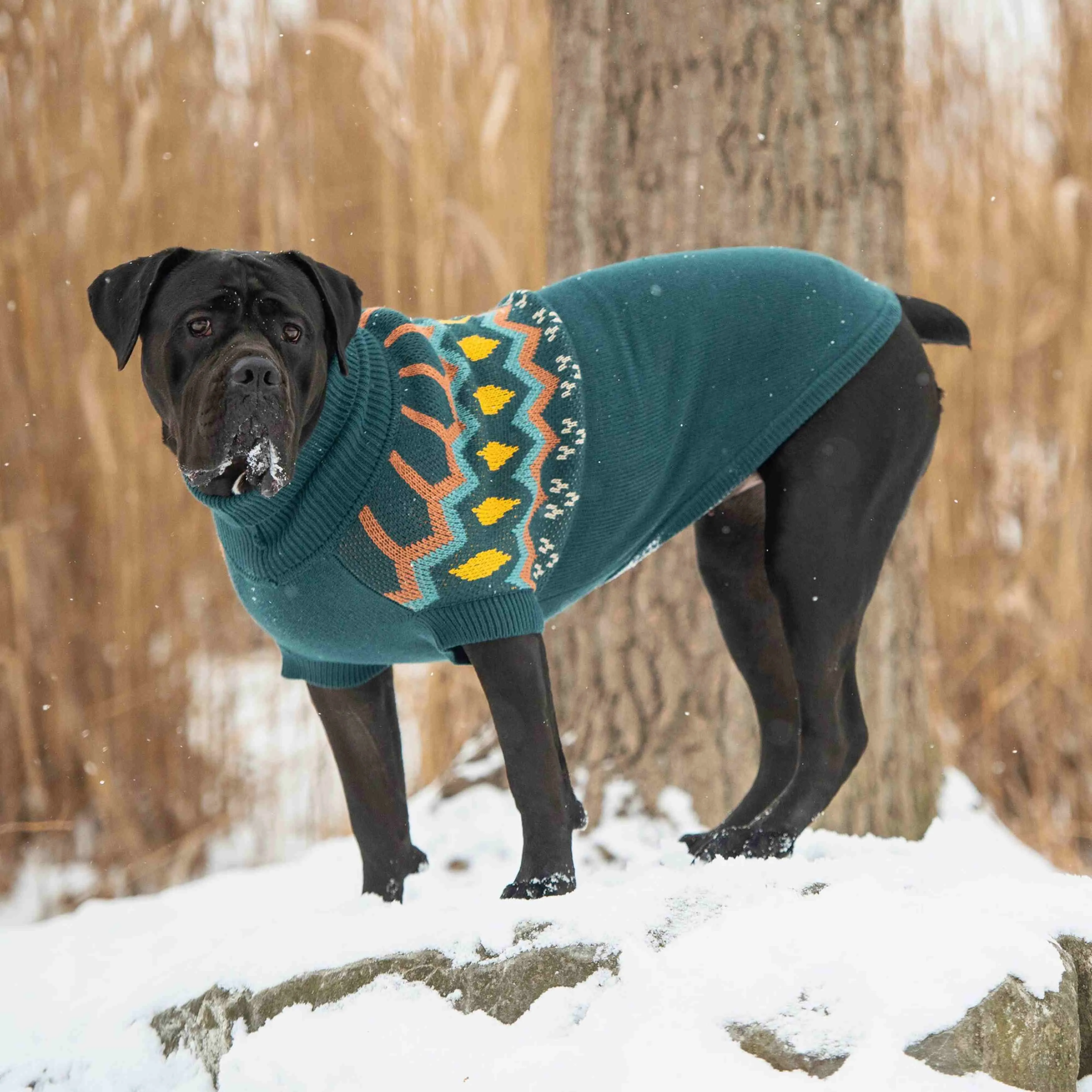 Heritage Sweater - Teal