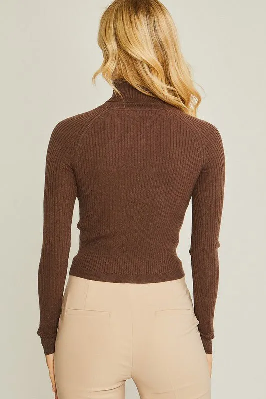 Turtleneck Ribbed Knit Sweater